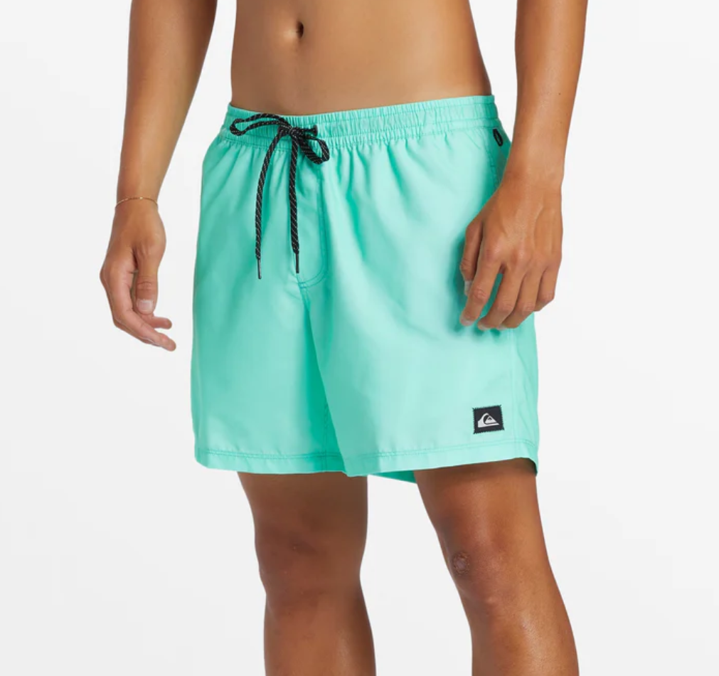 Traje de Baño Quiksilver Eeveryday Solid 15 Asy