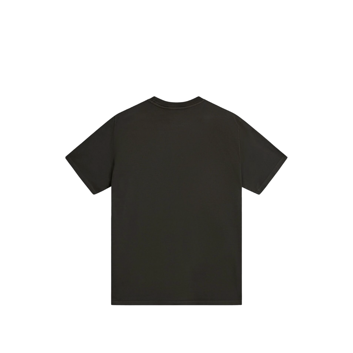 POLERA FLORENCE Crew T-Shirt - Thyme